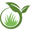 Concord Lawn Clean Up