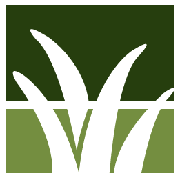 Concord Lawn Clean Up
