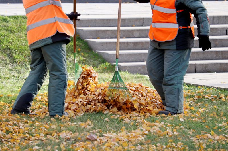 Leaf Removal in Progress