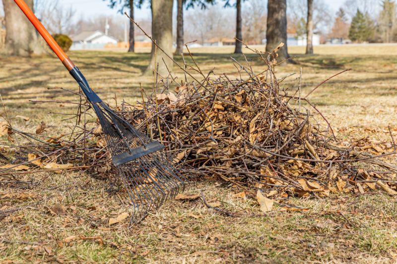 Leaf Raking Service detail