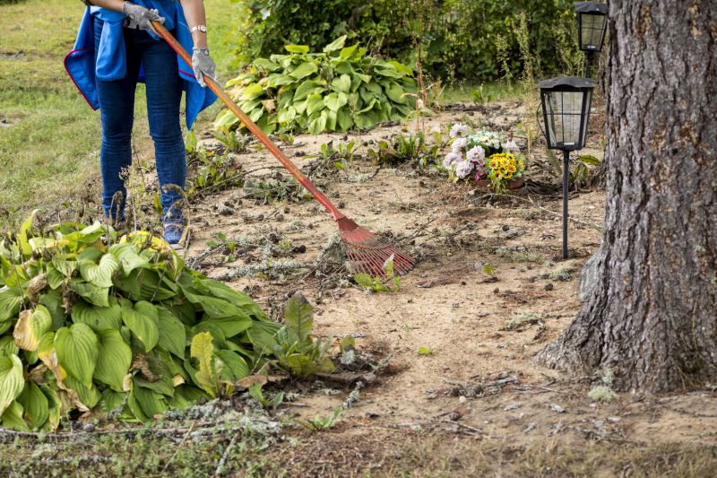Post-Storm Yard Cleanup