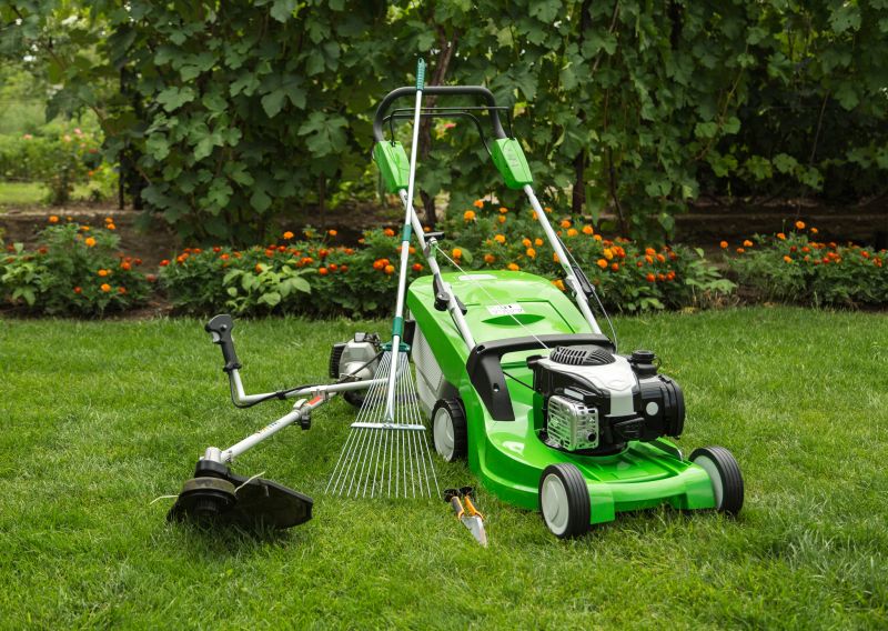 Seasonal Lawn Maintenance