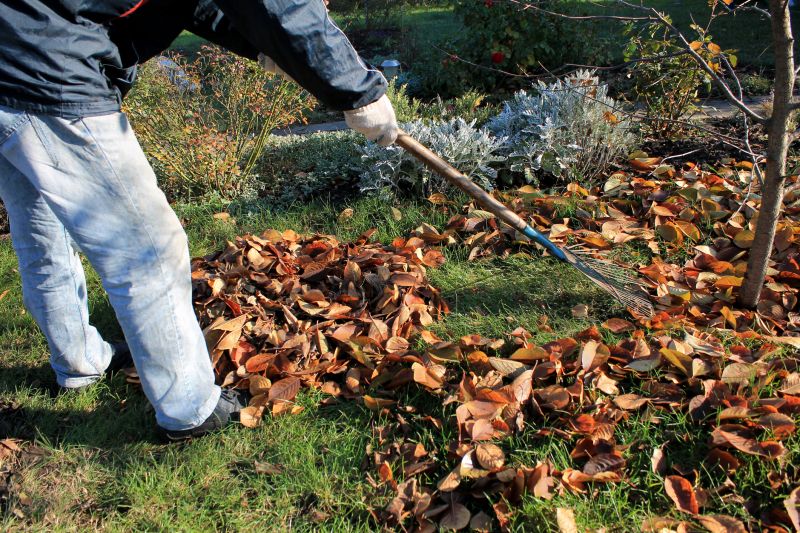 Leaf Raking Service