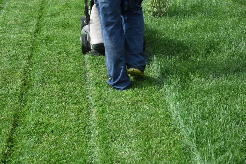 Independent Lawn Care Experts