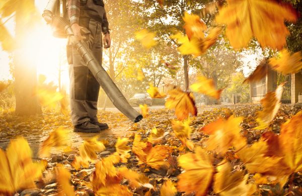 Leaf Blowing Service in Concord
