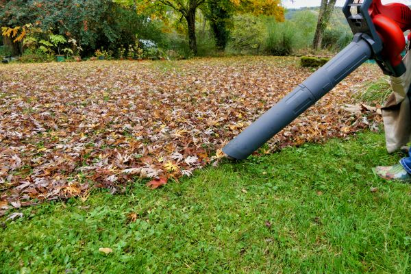 Leaf Vacuuming Service in Concord