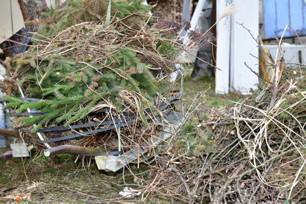 Yard Waste Removal Service in Concord