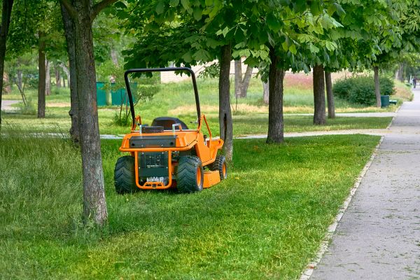 Landscaping Cleanup Service in Concord