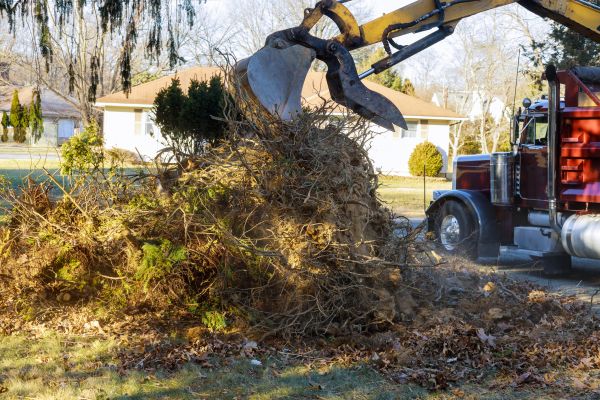 Storm Debris Removal in Concord