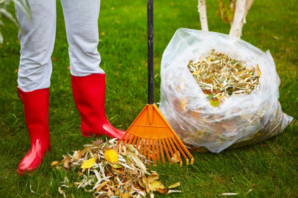 Leaf Disposal Service in Concord