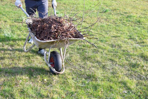 Yard Brush Removal in Concord