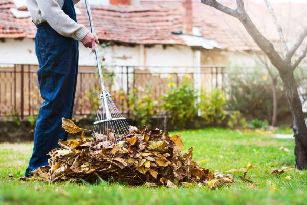 Spring Lawn Cleanup in Concord