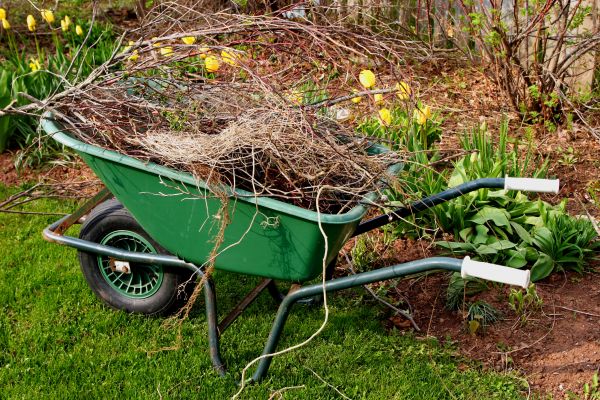 Lawn Waste Removal in Concord