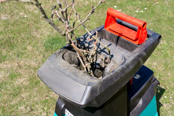Cost of Brush Cleanup Service in Concord
