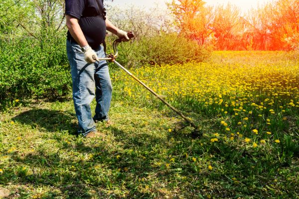 Yard Clearing Service in Concord