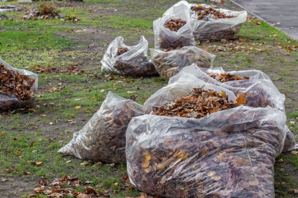 Leaf Pile Disposal in Concord
