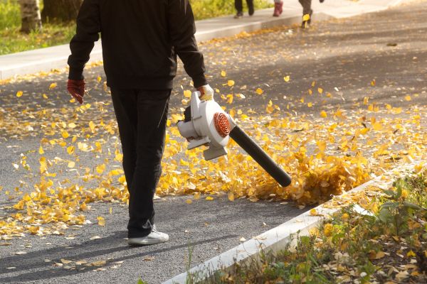 Commercial Leaf Removal in Concord
